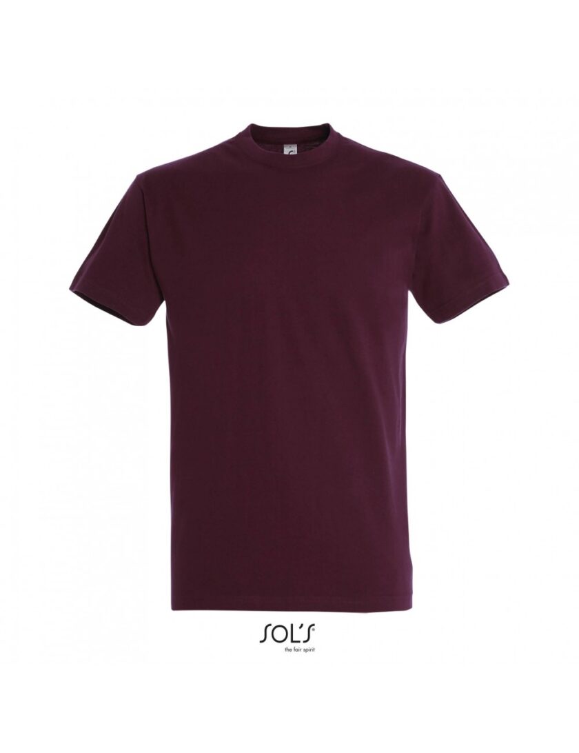Ανδρικό T-shirt SOL'S IMPERIAL 11500-100% Βαμβάκι - Image 10